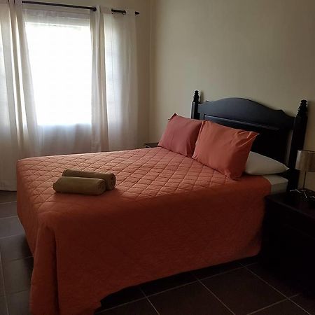 Boshoek Black Swan Guest House מראה חיצוני תמונה