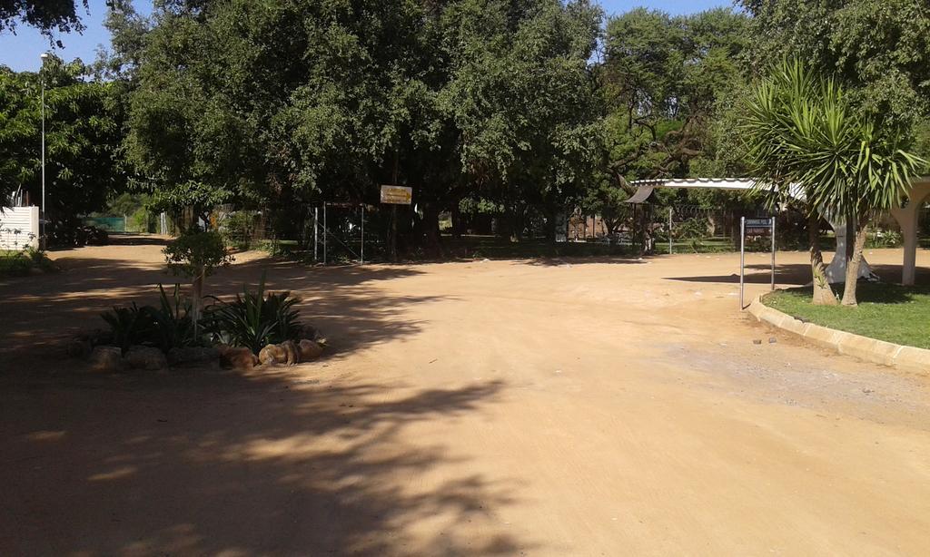 Boshoek Black Swan Guest House מראה חיצוני תמונה