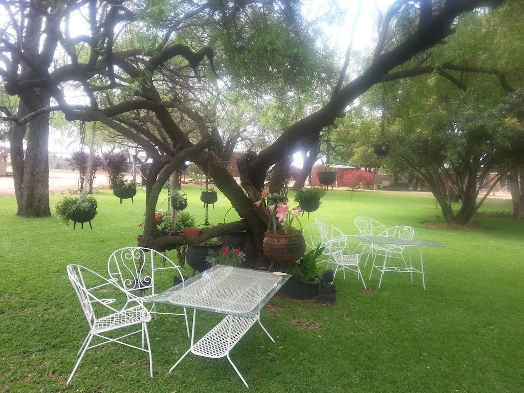 Boshoek Black Swan Guest House מראה חיצוני תמונה